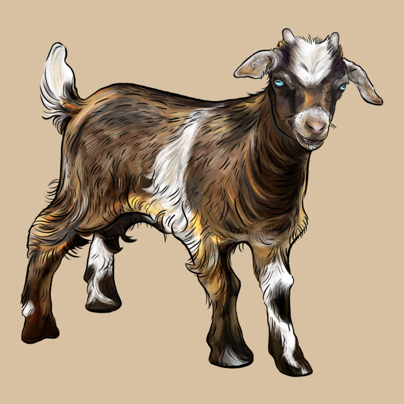 Baby Tennessee Fainting Goat Heavyweight Hoodie by LillyAllenDesigns | Teevron