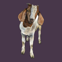 Boer Goat Heavyweight Hoodie | Teevron
