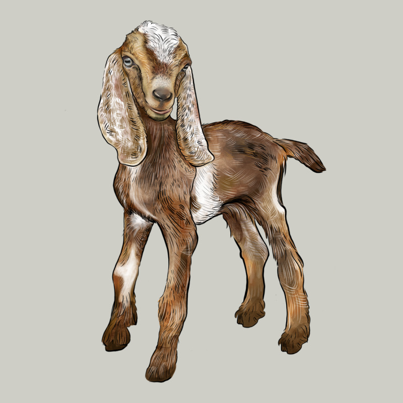 Baby Nubian Goat Heavyweight Hoodie by LillyAllenDesigns | Teevron
