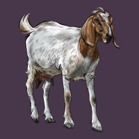 Boer Goat Heavyweight Hoodie | Teevron