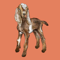 Baby Nubian Goat Classic Tee | Teevron