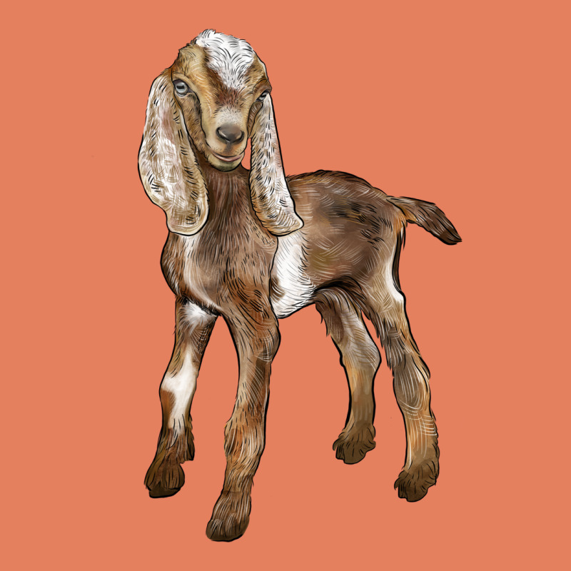 Baby Nubian Goat Classic Tee by LillyAllenDesigns | Teevron