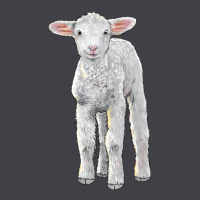 Merino Wool Baby Sheep Heavyweight Hoodie | Teevron