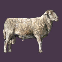 Katahdin Sheep Heavyweight Hoodie | Teevron