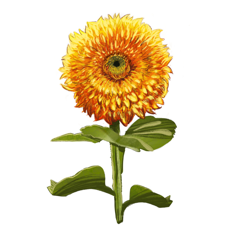 Gummy Bear Sunflower Premium Tee by LillyAllenDesigns | Teevron