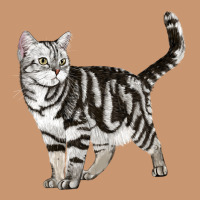 American Shorthair Cat Heavyweight Hoodie | Teevron