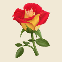 Ketchup And Mustard Rose Premium Tee | Teevron
