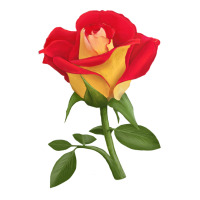 Ketchup And Mustard Rose | Teevron