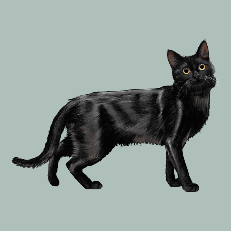 Bombay Cat Heavyweight Hoodie by LillyAllenDesigns | Teevron