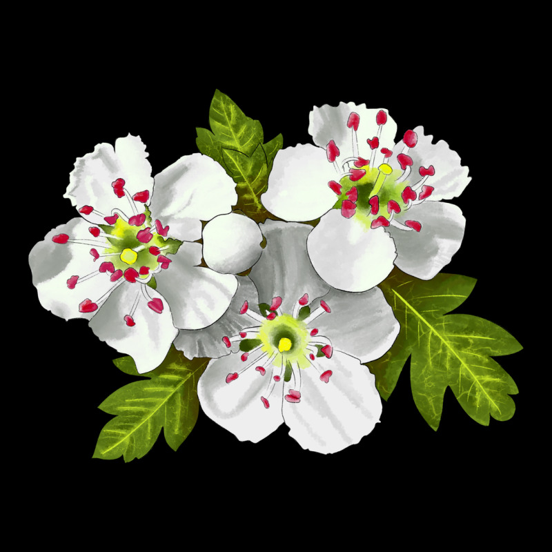 Hawthorn Flower Premium Tee by LillyAllenDesigns | Teevron