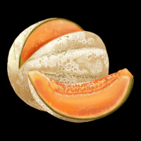 Colorado Cantaloupe Png Ladies Tee | Teevron