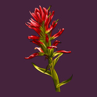 Indian Paintbrush Premium Tee | Teevron