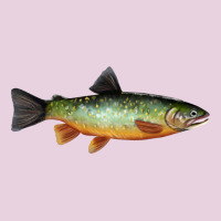 Greenback Cutthroat Trout Fish Ladies Tee | Teevron