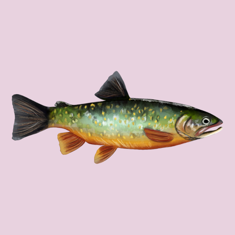 Greenback Cutthroat Trout Fish Ladies Tee by RanaPortraitStore | Teevron