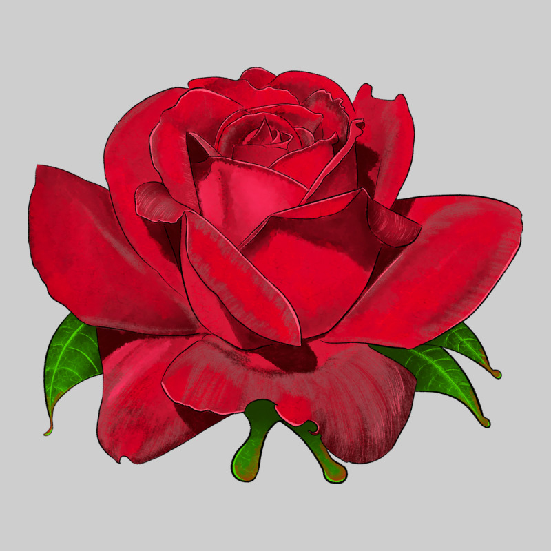 Oklahoma Rose Illustrations Premium Tee by LillyAllenDesigns | Teevron