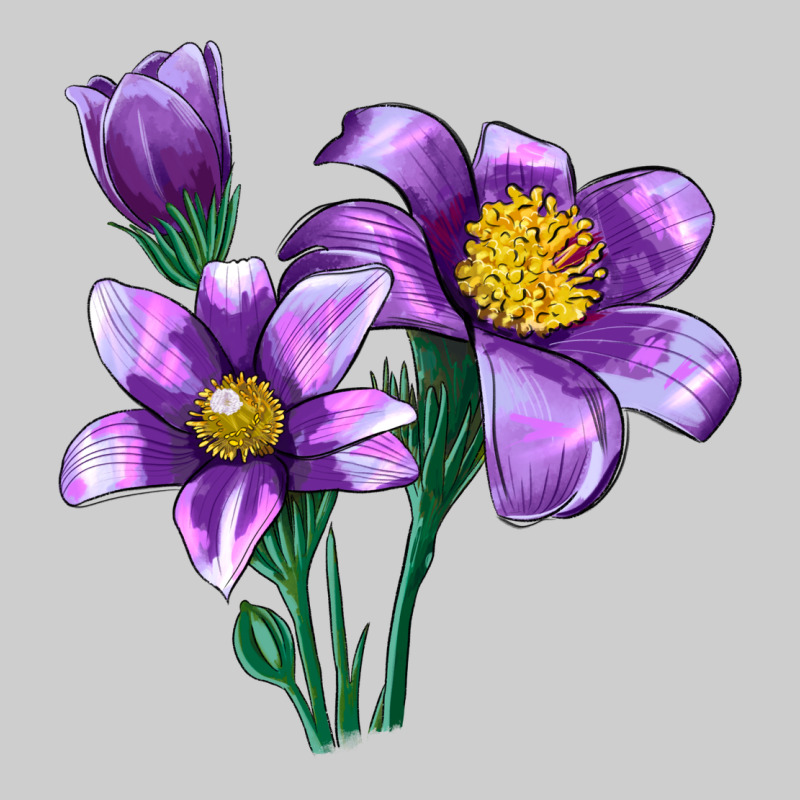 Pasque Flower Illustrations Premium Tee by LillyAllenDesigns | Teevron