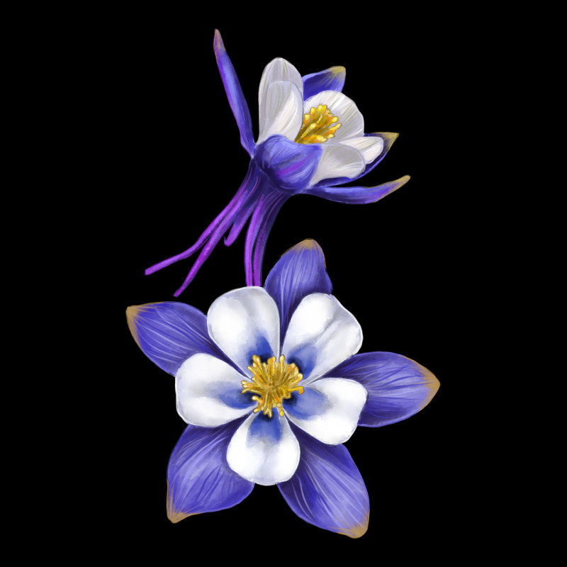 Colorado Rocky Mountain Columbine Flower Ladies Tee by RanaPortraitStore | Teevron