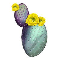 Opunthia Santa Rita Cactus | Teevron