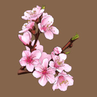 Peach Blossom Illustrations Premium Tee | Teevron