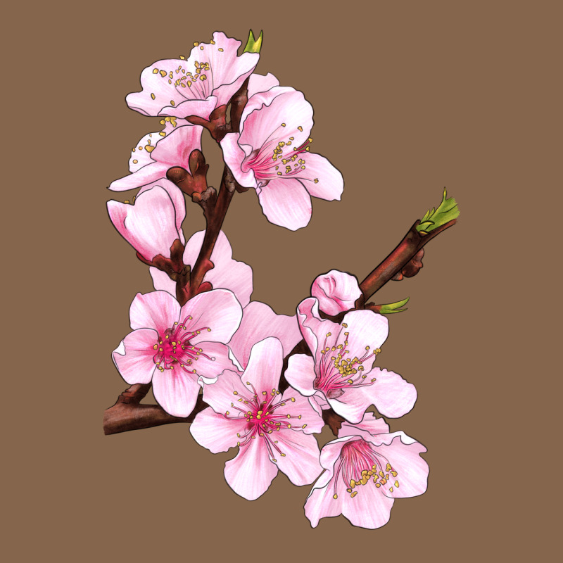 Peach Blossom Illustrations Premium Tee by LillyAllenDesigns | Teevron