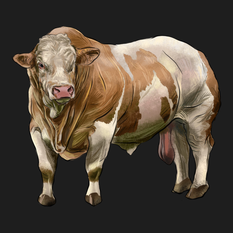 Simmental Bull Heavyweight Hoodie by LillyAllenDesigns | Teevron
