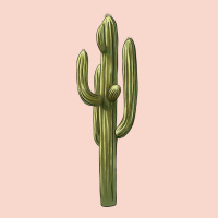 Cactus Urban Hoodie | Teevron