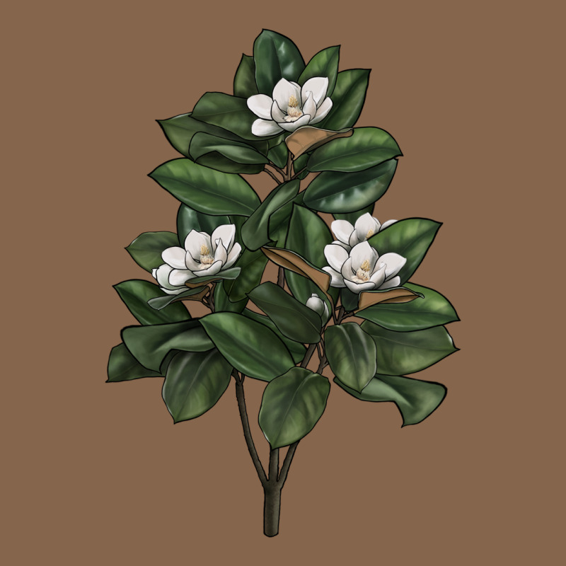 Magnolia Flower Illustrations Premium Tee by LillyAllenDesigns | Teevron