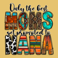 Only The Best Moms Get Promoted To Nana Premium Sweatshirt | Teevron