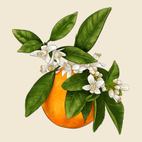 Tangerine Premium Tee | Teevron