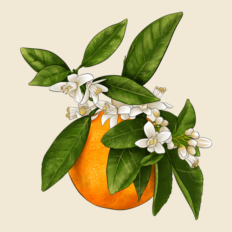 Tangerine Premium Tee by LillyAllenDesigns | Teevron