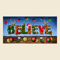 Christmas Believe License Plate Premium Hoodie | Teevron