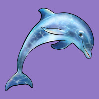 Dolphin Urban Hoodie | Teevron