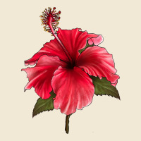 Puerto Rican Hibiscus Flower Premium Tee | Teevron