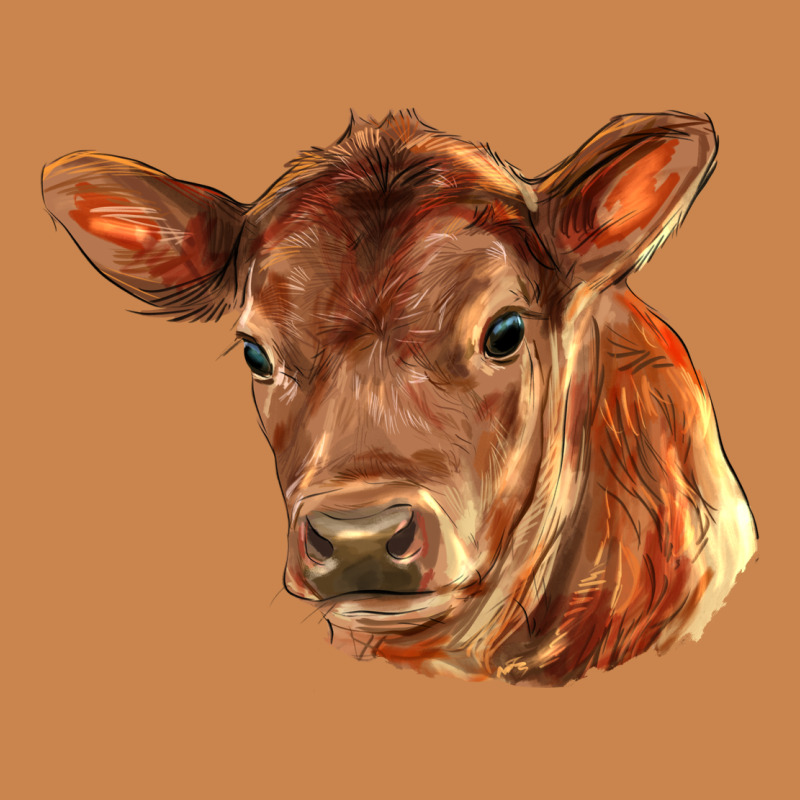 Red Angus Calf Face Heavyweight Hoodie by LillyAllenDesigns | Teevron