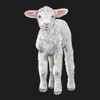 Merino Wool Baby Sheep Classic Tee | Teevron