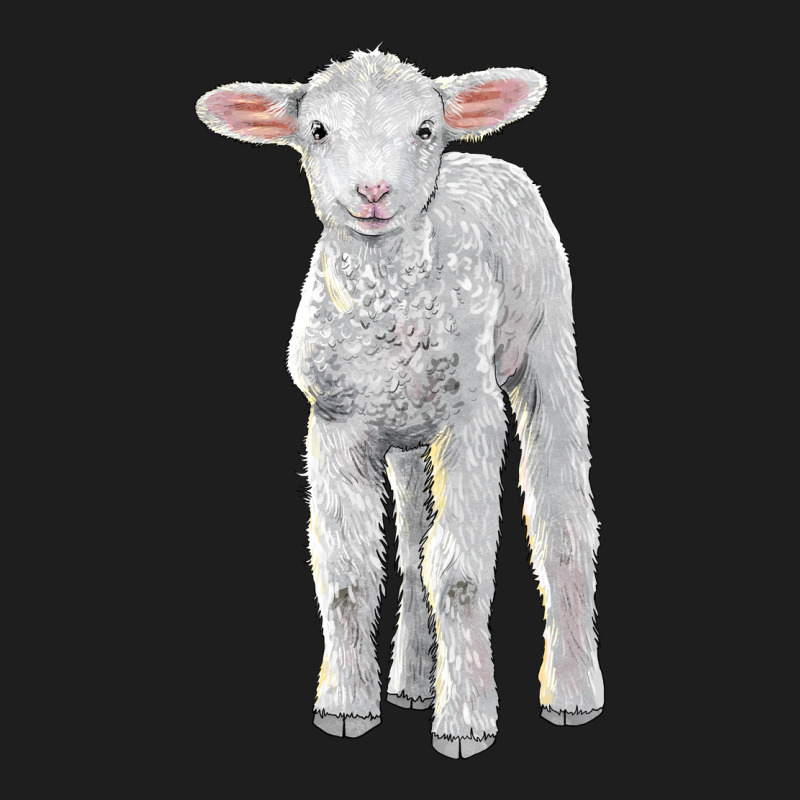 Merino Wool Baby Sheep Classic Tee by LillyAllenDesigns | Teevron