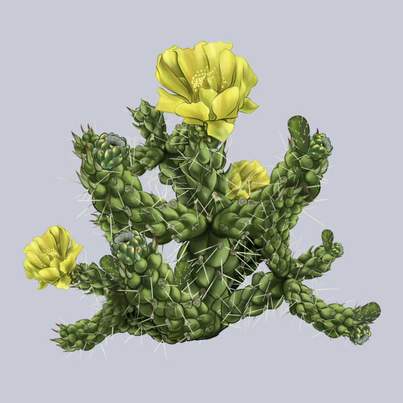 Whipple Cholla Cactus Heavyweight Hoodie by LillyAllenDesigns | Teevron