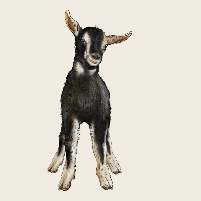 Hand Drawn Baby Alpine Goat Premium Sweatshirt by LillyAllenDesigns | Teevron