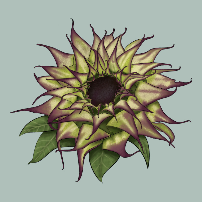 Sun   Fill Purple Sunflower Heavyweight Hoodie by LillyAllenDesigns | Teevron