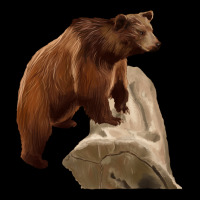 California Grizzly Bear Ladies Tee | Teevron