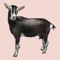 Alpine Goat Premium Sweatshirt | Teevron