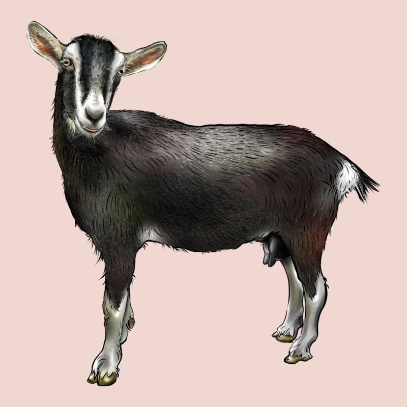 Alpine Goat Premium Sweatshirt by LillyAllenDesigns | Teevron