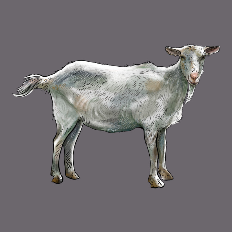 Saanen Goat Premium Sweatshirt by LillyAllenDesigns | Teevron