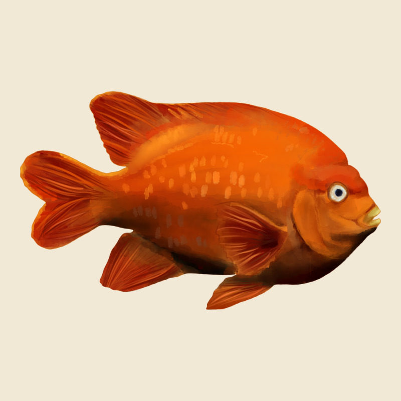 California Garibaldi Fish Ladies Tee by RanaPortraitStore | Teevron