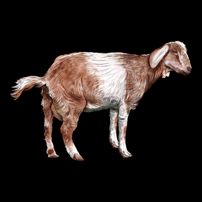 Nubian Goat Premium Sweatshirt by LillyAllenDesigns | Teevron