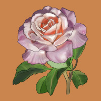 Belinda's Blush Rose Heavyweight Hoodie | Teevron