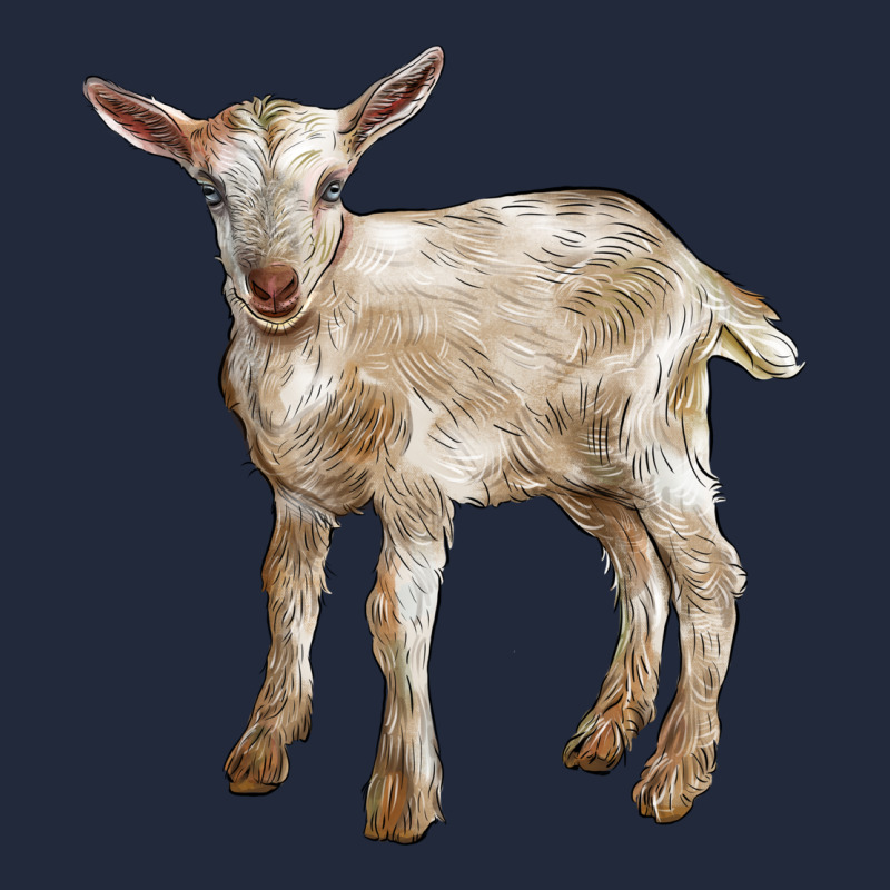 Baby Saanen Goat Premium Sweatshirt by LillyAllenDesigns | Teevron