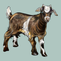 Baby Tennessee Fainting Goat Premium Sweatshirt | Teevron