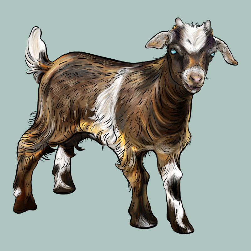 Baby Tennessee Fainting Goat Premium Sweatshirt by LillyAllenDesigns | Teevron