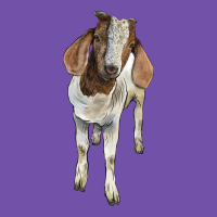 Boer Goat Premium Sweatshirt | Teevron